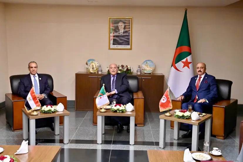 Final Communiqué of the Meeting of the Foreign Ministers of Algeria, Tunisia and Egypt on Libya (Tripartite Mechanism of Neighbouring Countries)